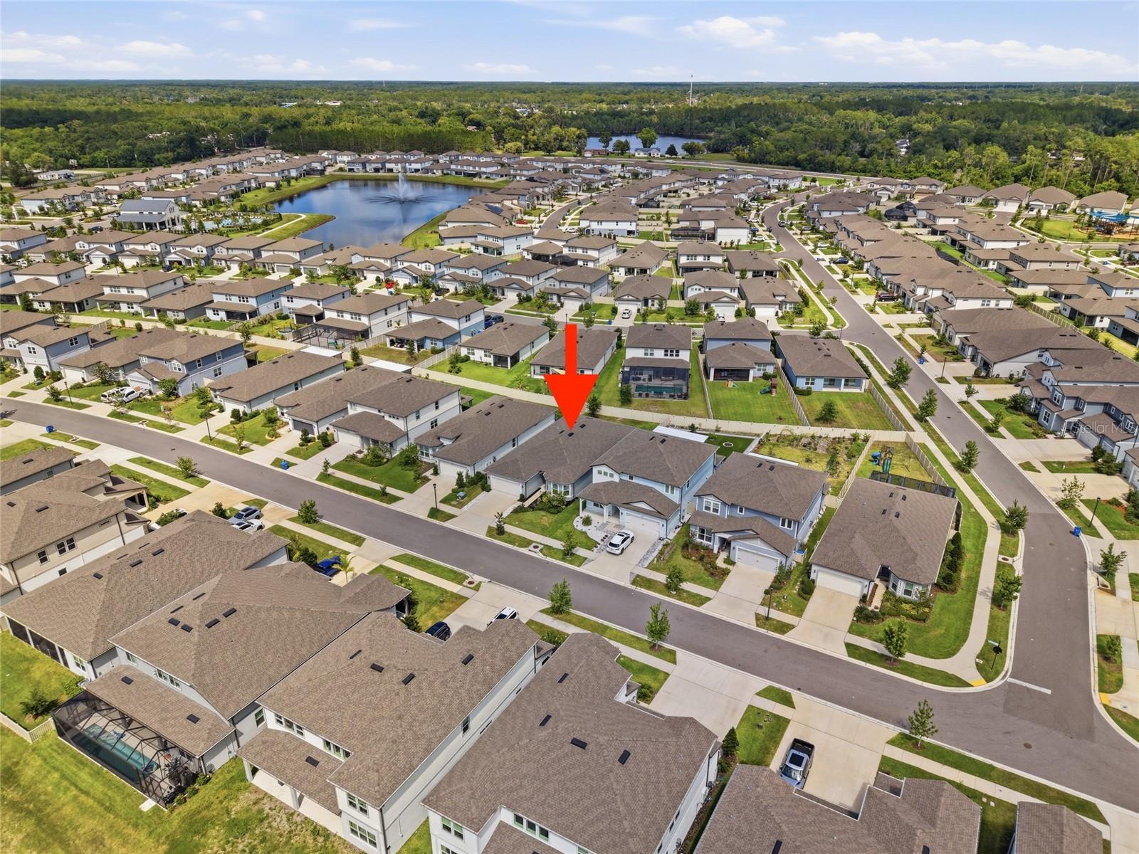 3834 MAPLE BAY LN, LAND O LAKES, FL — photo 39