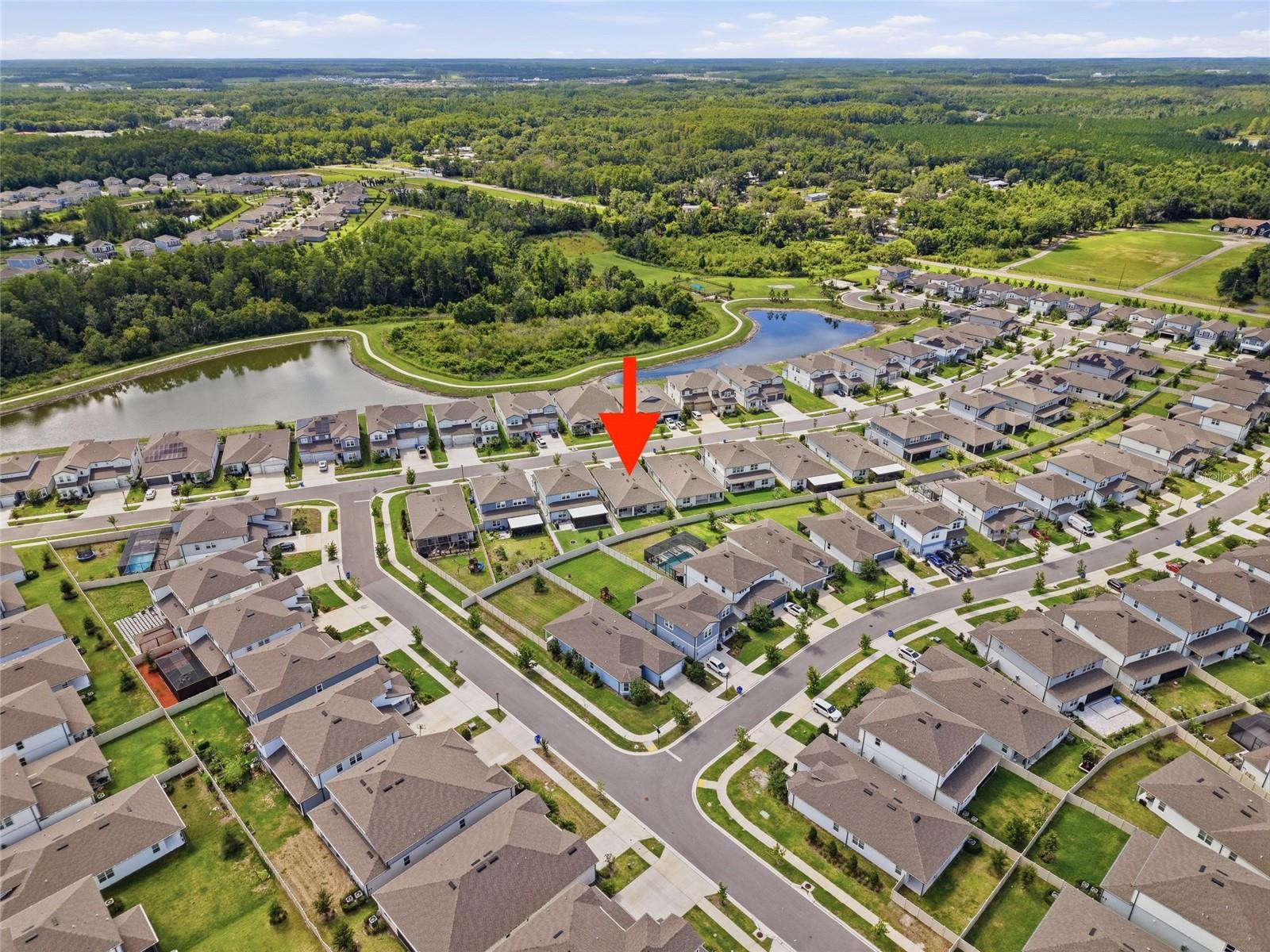 3834 MAPLE BAY LN, LAND O LAKES, FL — photo 43