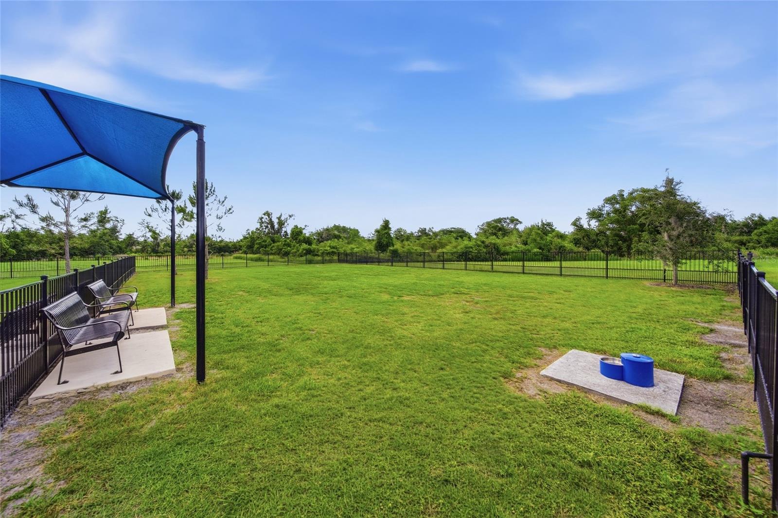 3834 MAPLE BAY LN, LAND O LAKES, FL — photo 54