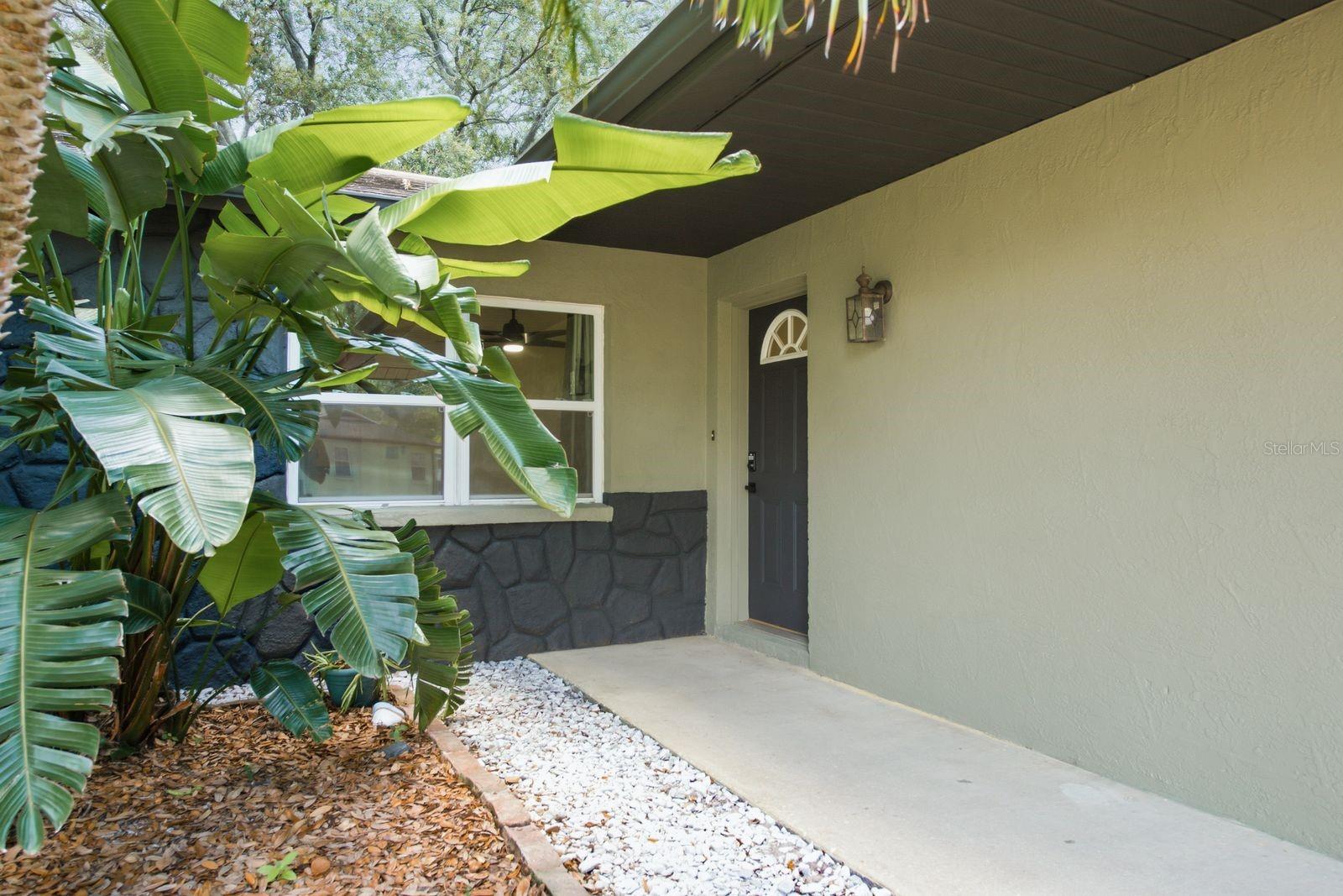 442 EVERGREEN DR, OLDSMAR, FL — photo 5