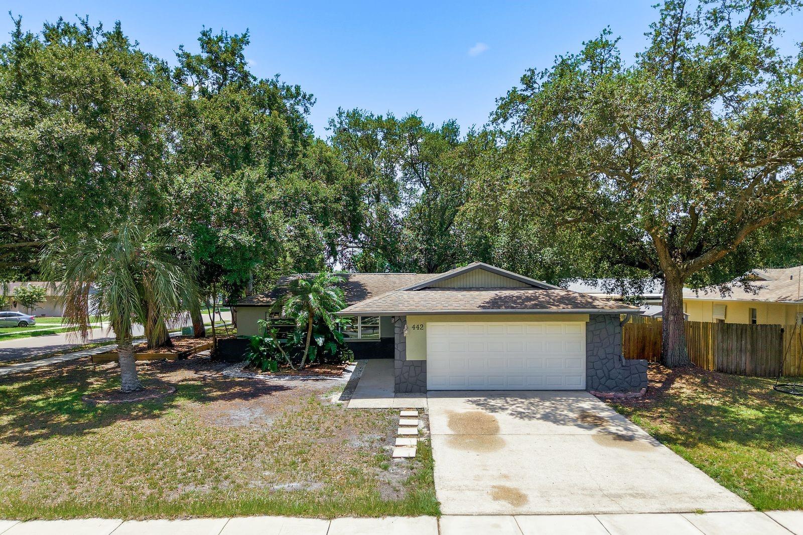 442 EVERGREEN DR, OLDSMAR, FL — photo 39