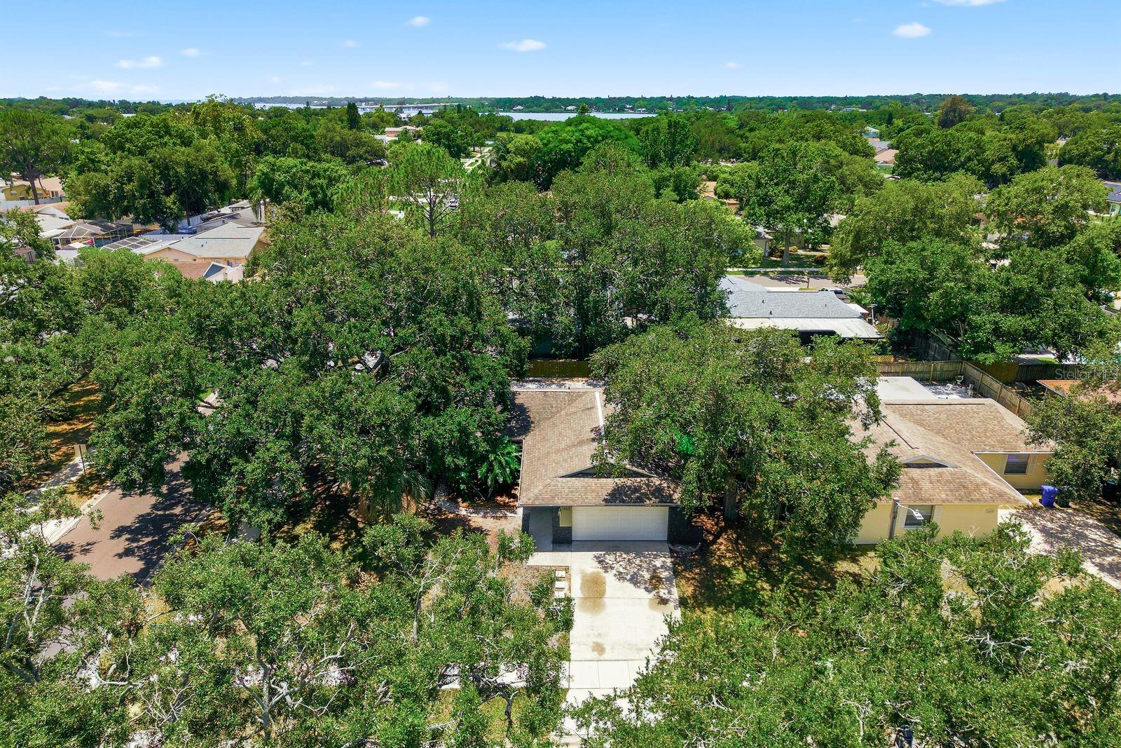 442 EVERGREEN DR, OLDSMAR, FL — photo 40