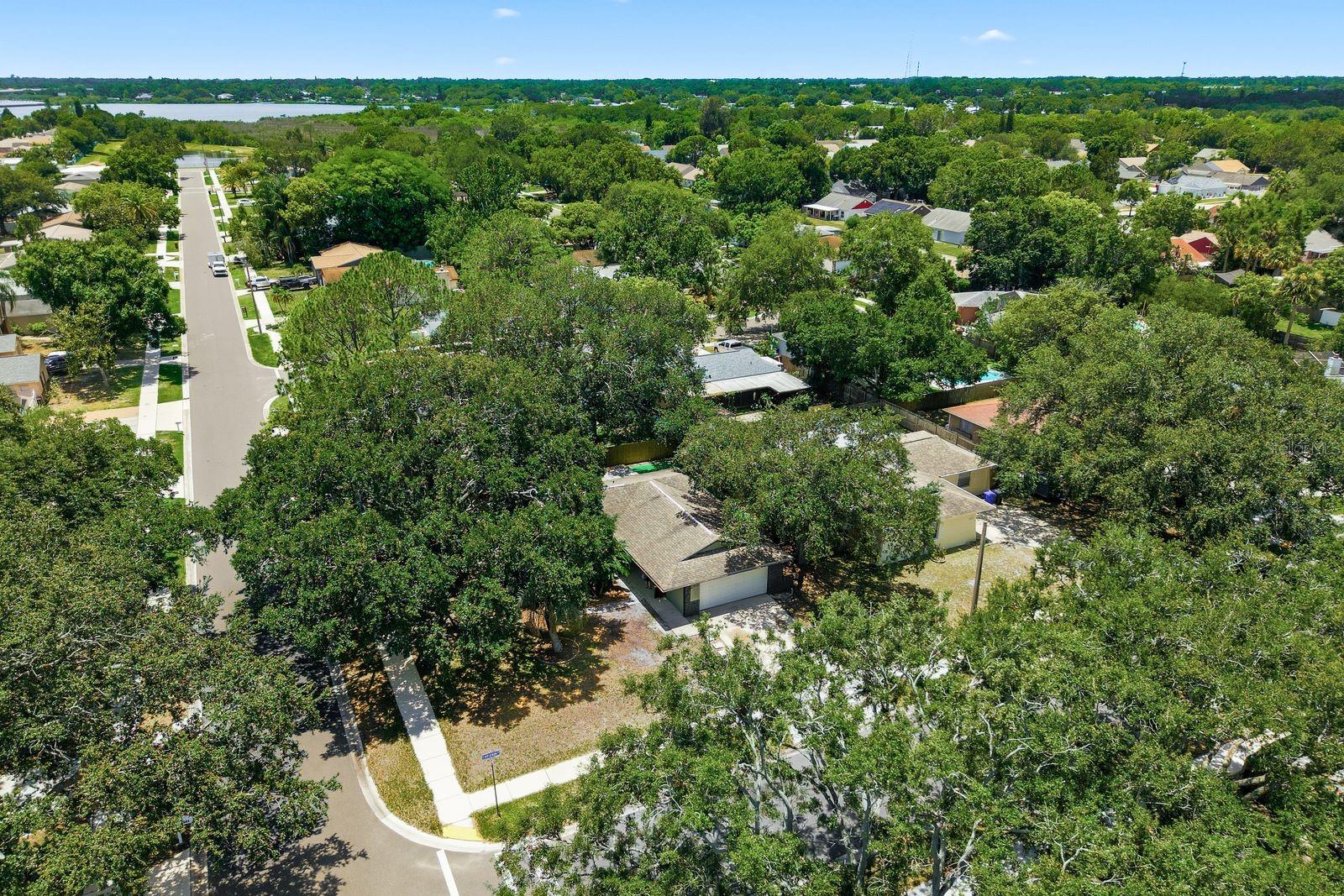 442 EVERGREEN DR, OLDSMAR, FL — photo 41
