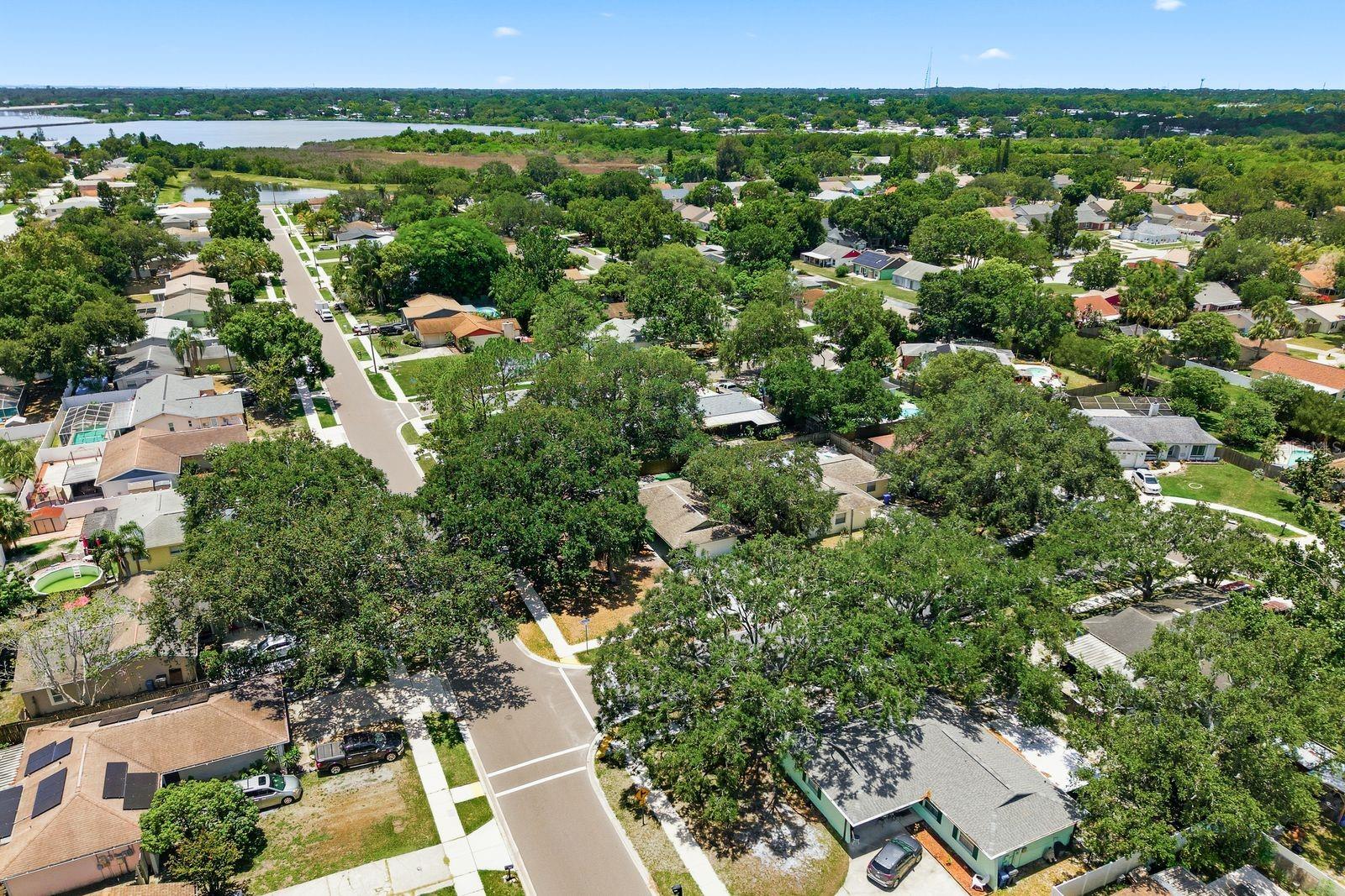 442 EVERGREEN DR, OLDSMAR, FL — photo 42