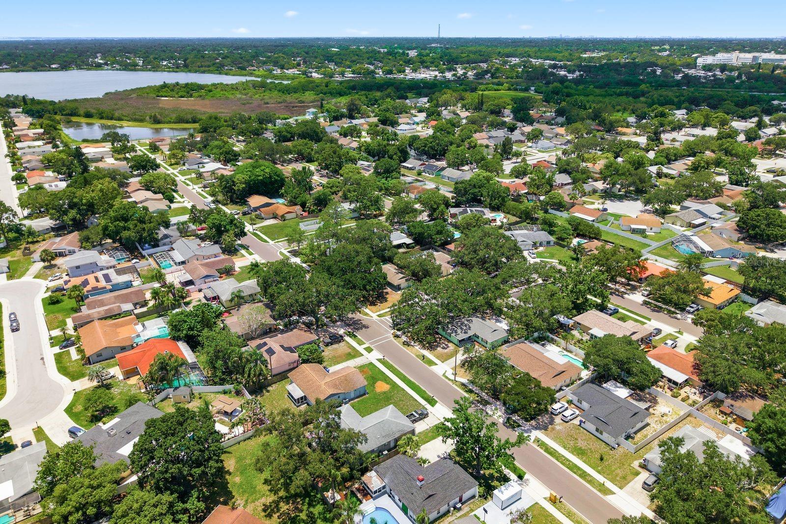 442 EVERGREEN DR, OLDSMAR, FL — photo 43