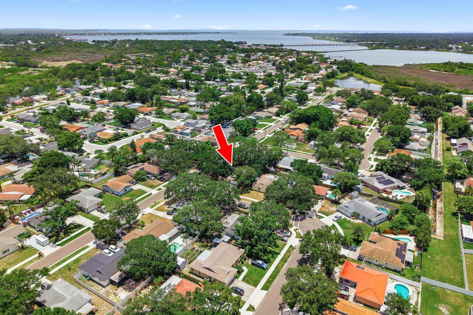 442 EVERGREEN DR, OLDSMAR, FL — photo 44