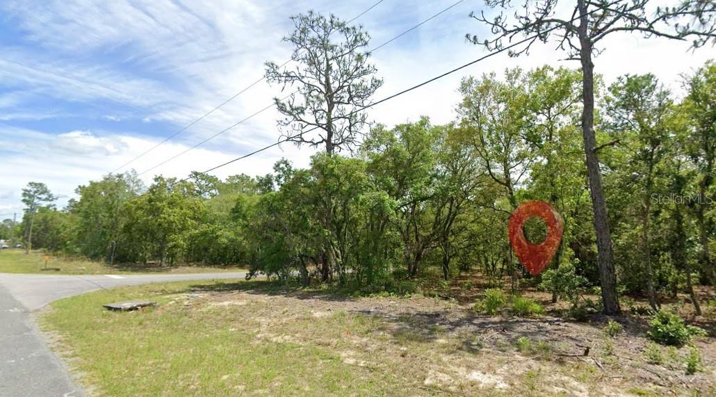 821 W HOMEWAY LOOP, CITRUS SPRINGS, FL — photo 3