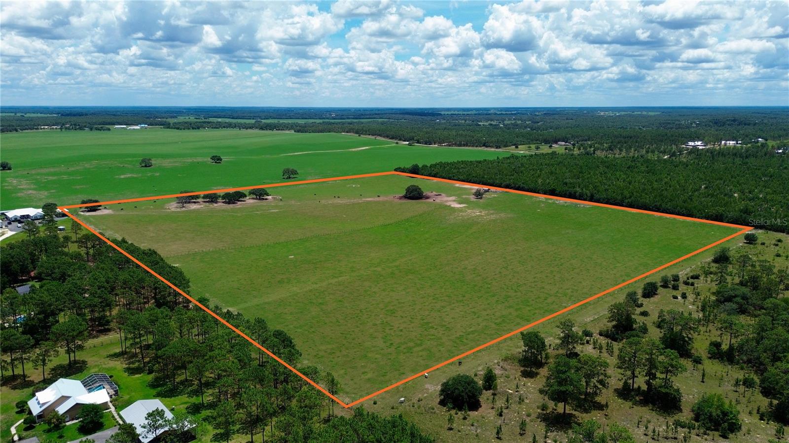 SE 54TH ST, MORRISTON, FL — photo 3