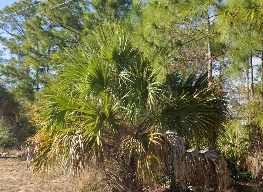 2706 52ND ST W, LEHIGH ACRES, FL