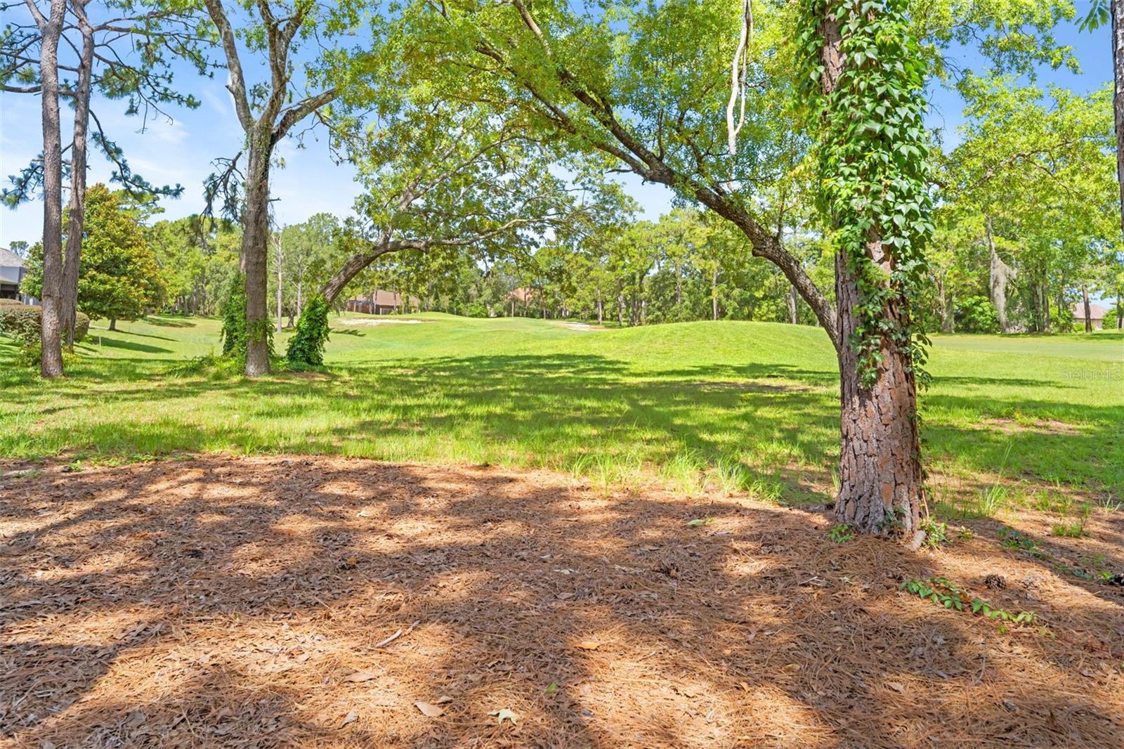 5399 CHAMPIONSHIP CUP LN, SPRING HILL, FL — photo 70