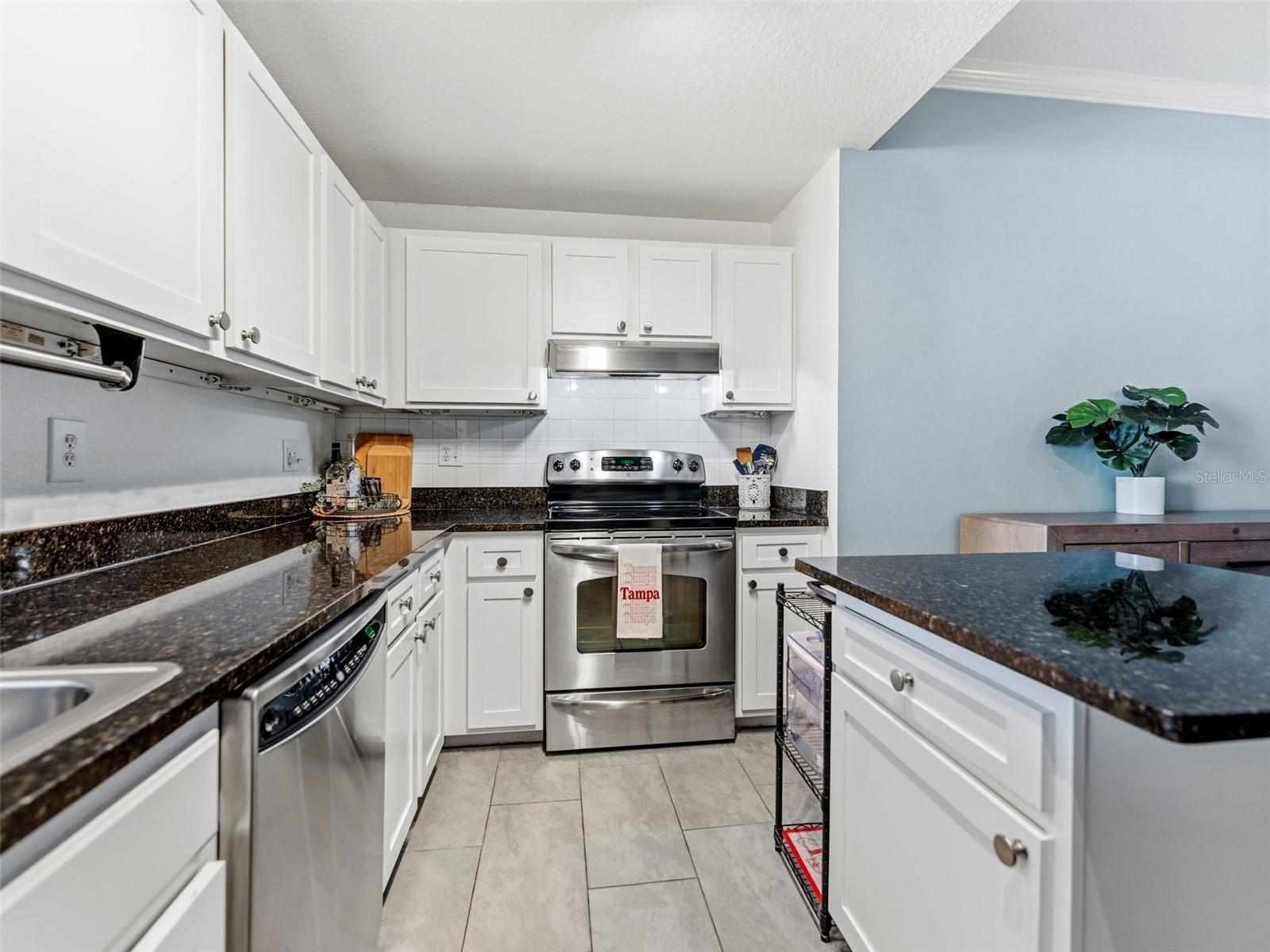 501 KNIGHTS RUN AVE #1325, TAMPA, FL — photo 7