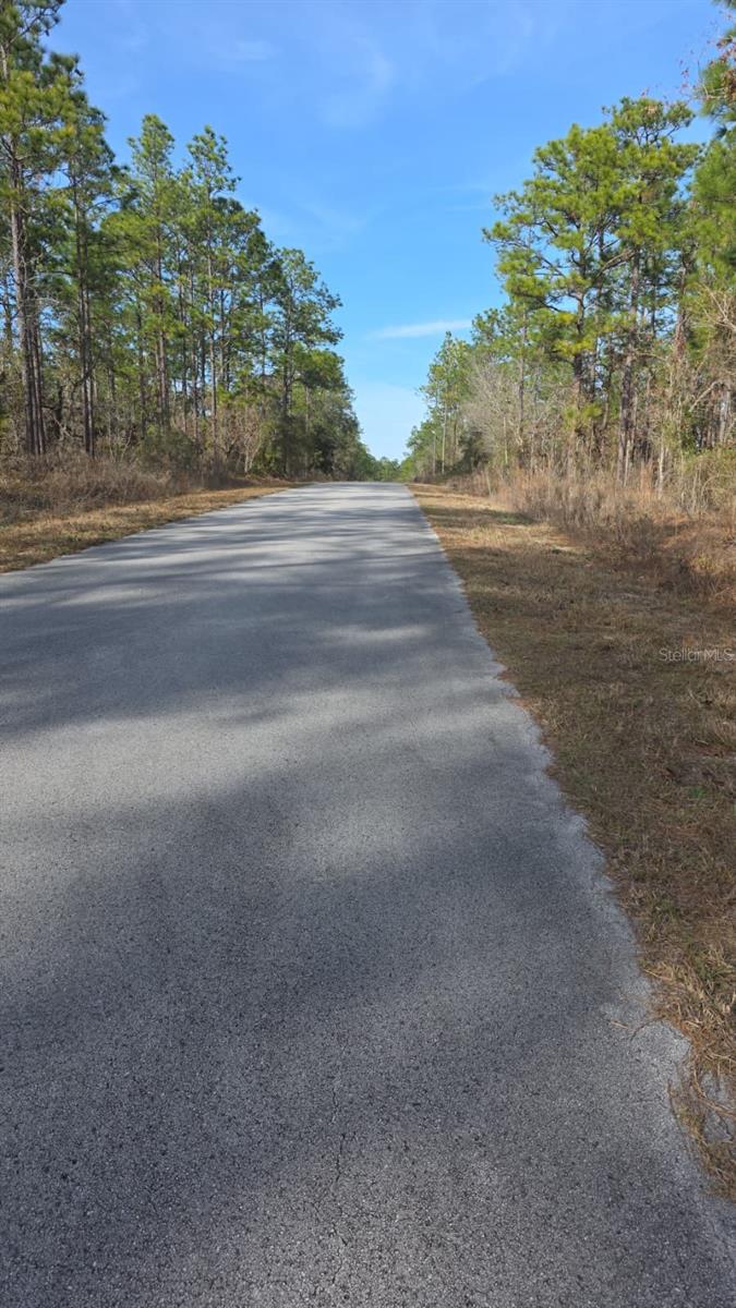 0 NW Alvarez Rd N NW ALVAREZ RD HWY, DUNNELLON, FL — photo 2