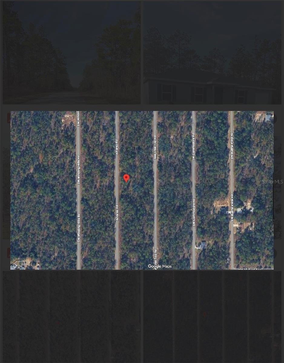 0 NW Alvarez Rd N NW ALVAREZ RD HWY, DUNNELLON, FL — photo 4