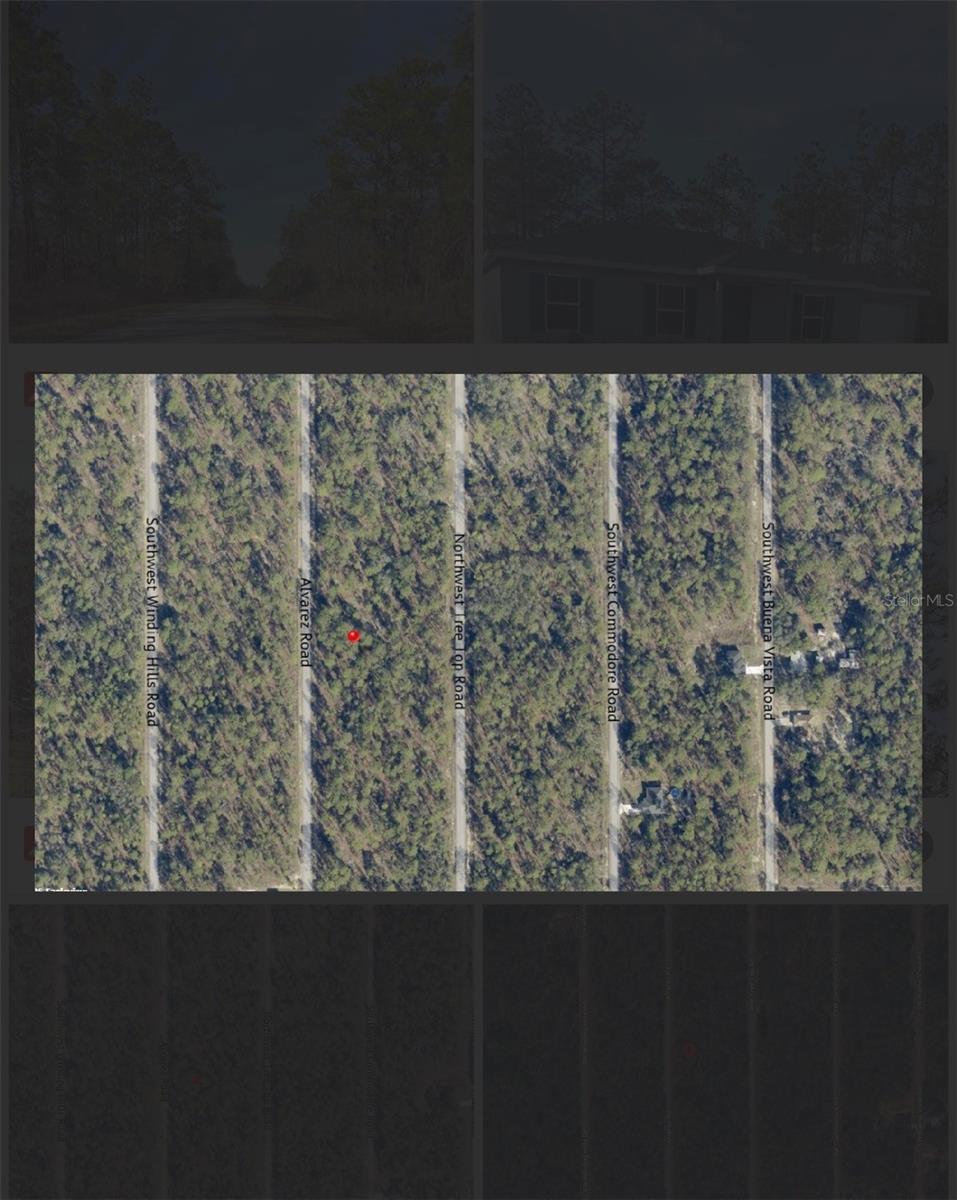 0 NW Alvarez Rd N NW ALVAREZ RD HWY, DUNNELLON, FL — photo 5