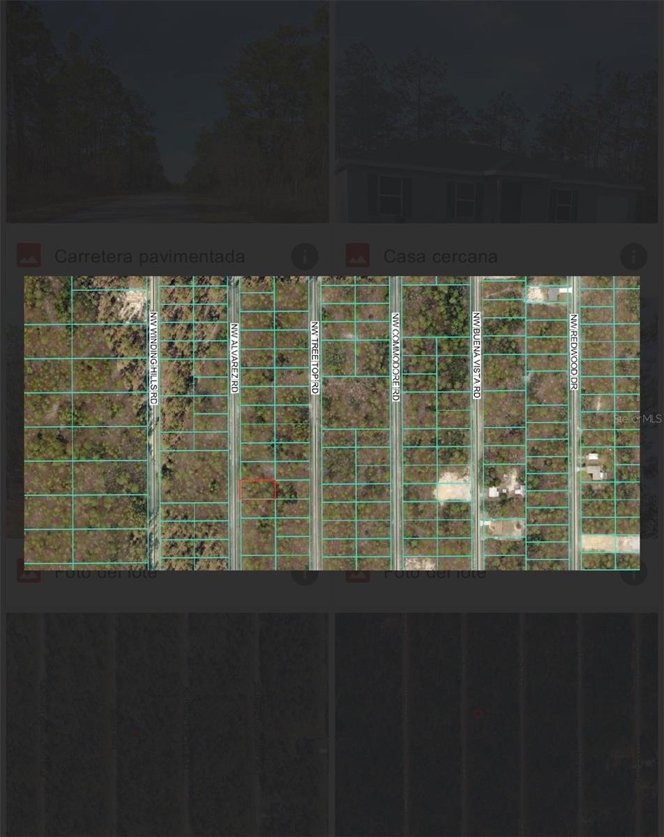 0 NW Alvarez Rd N NW ALVAREZ RD HWY, DUNNELLON, FL — photo 6