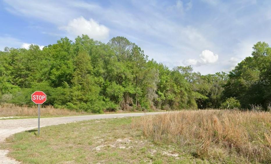 7995 N WALTON TER, DUNNELLON, FL — photo 2