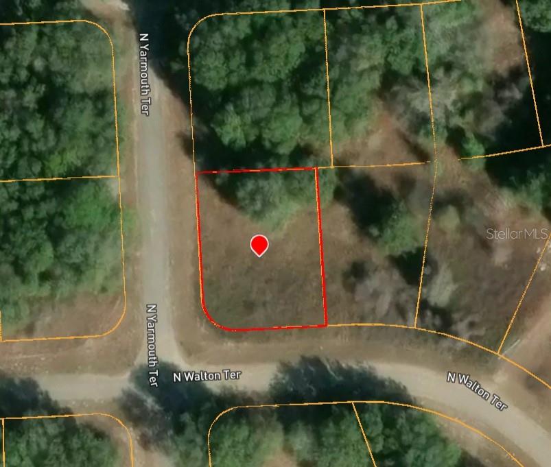 7995 N WALTON TER, DUNNELLON, FL — photo 4