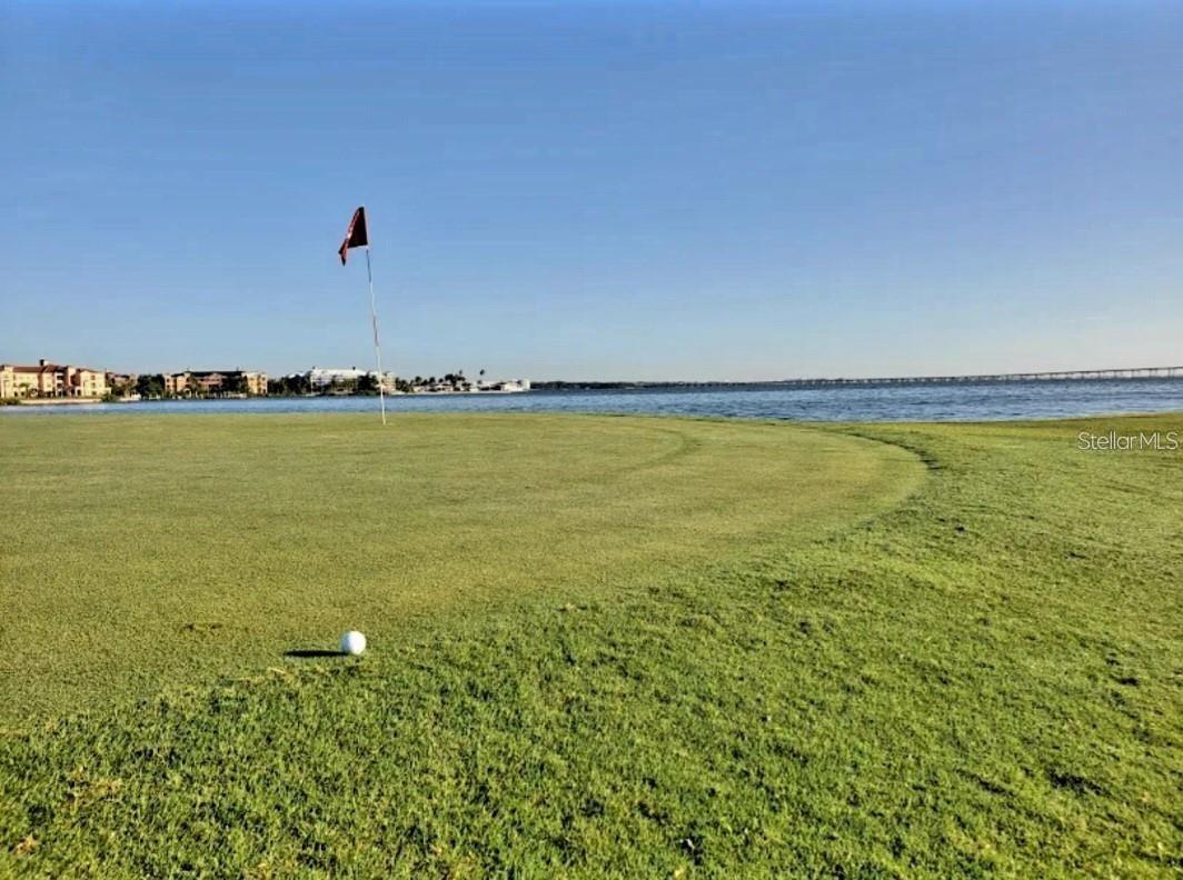 2935 LICHEN LN #C, CLEARWATER, FL — photo 3