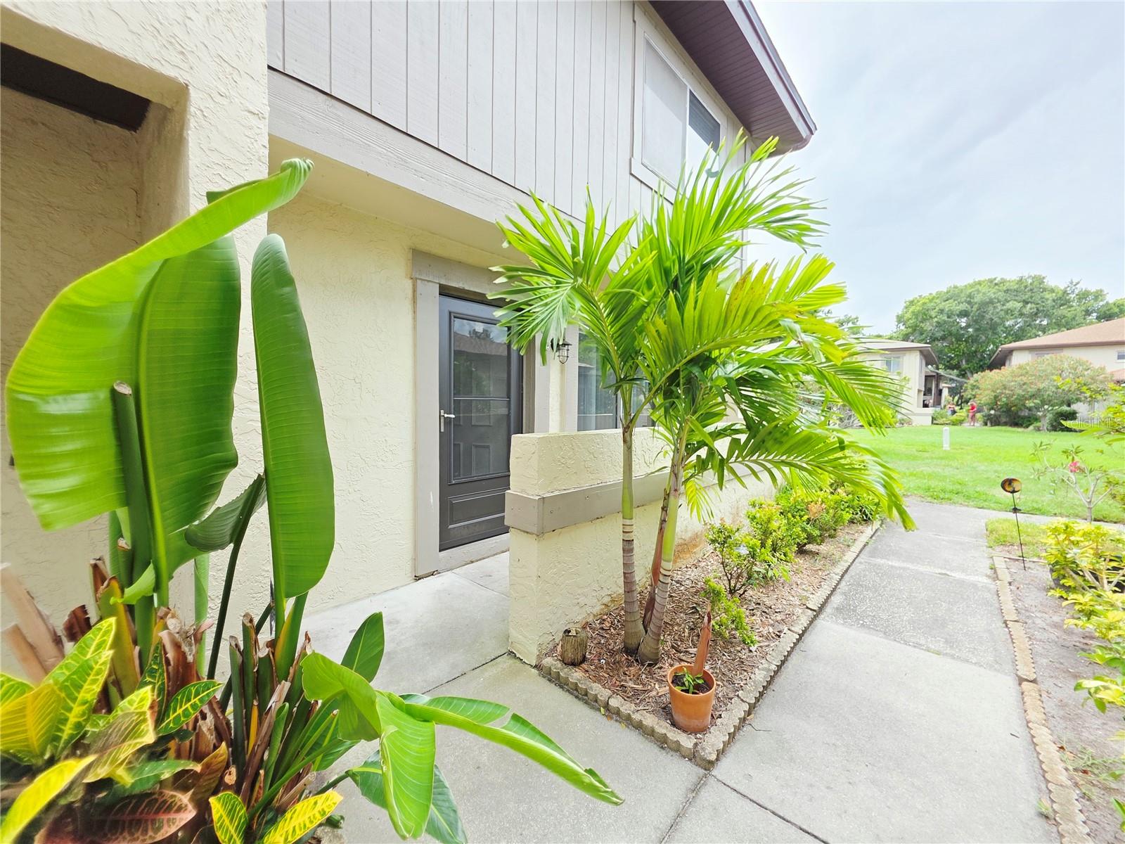 2935 LICHEN LN #C, CLEARWATER, FL — photo 4