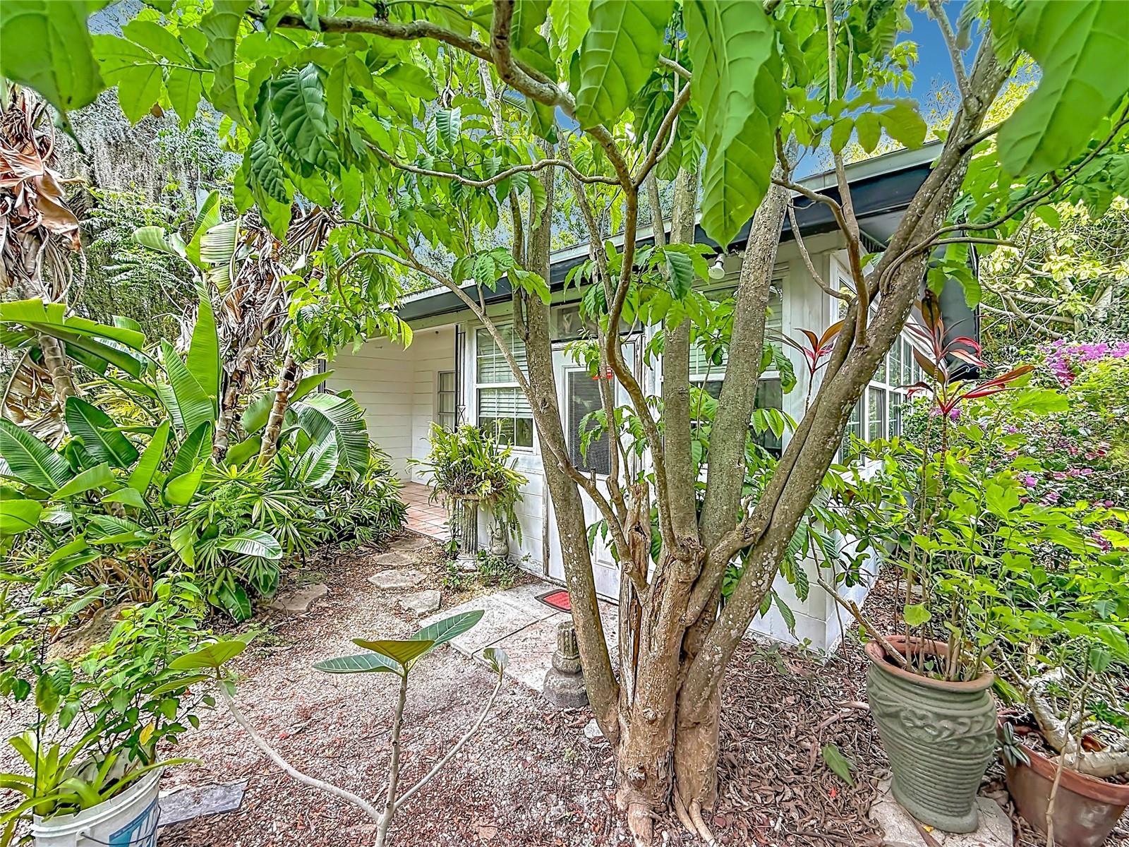 6330 EMERSON AVE S, ST PETERSBURG, FL — photo 4