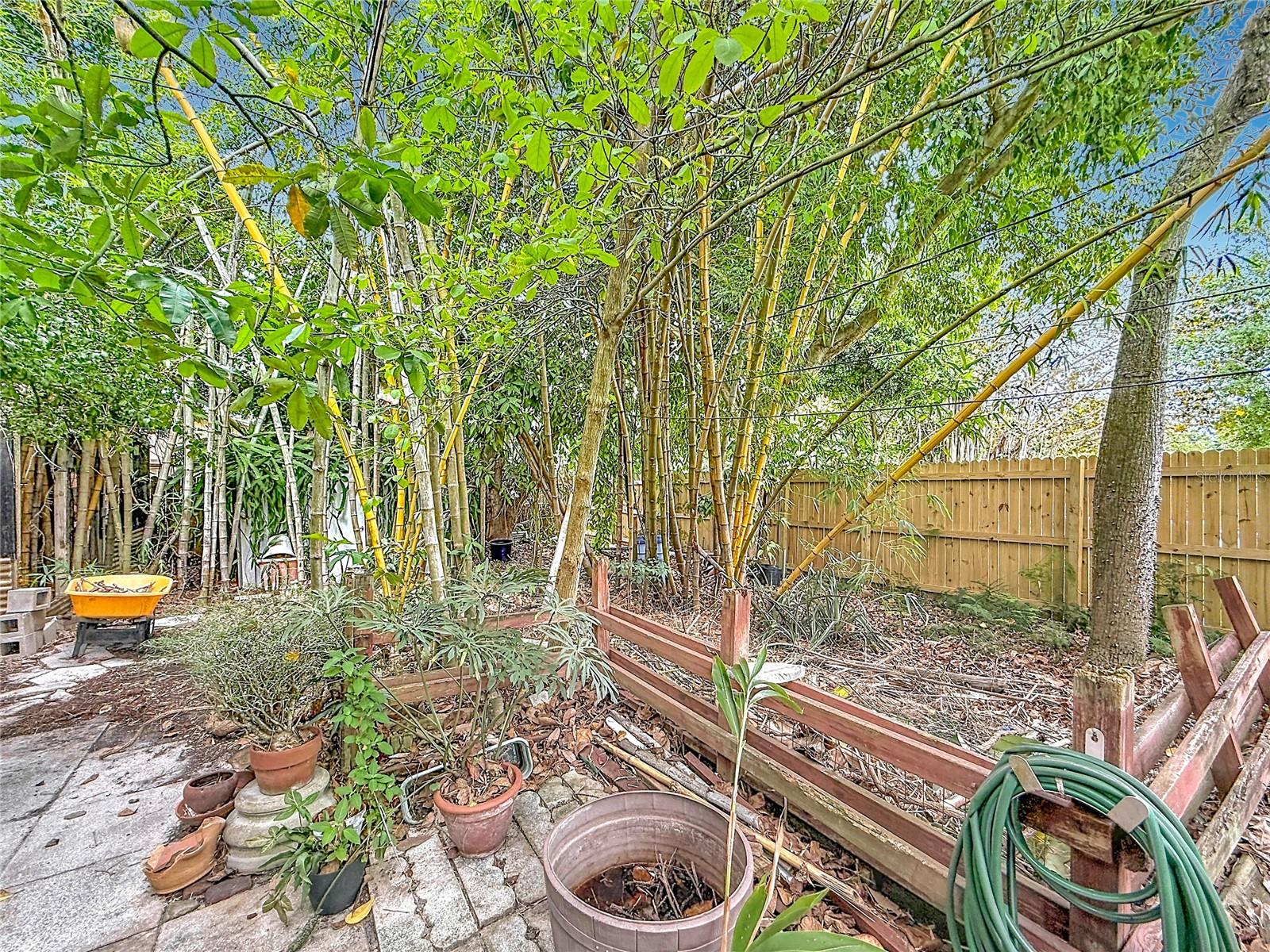 6330 EMERSON AVE S, ST PETERSBURG, FL — photo 40