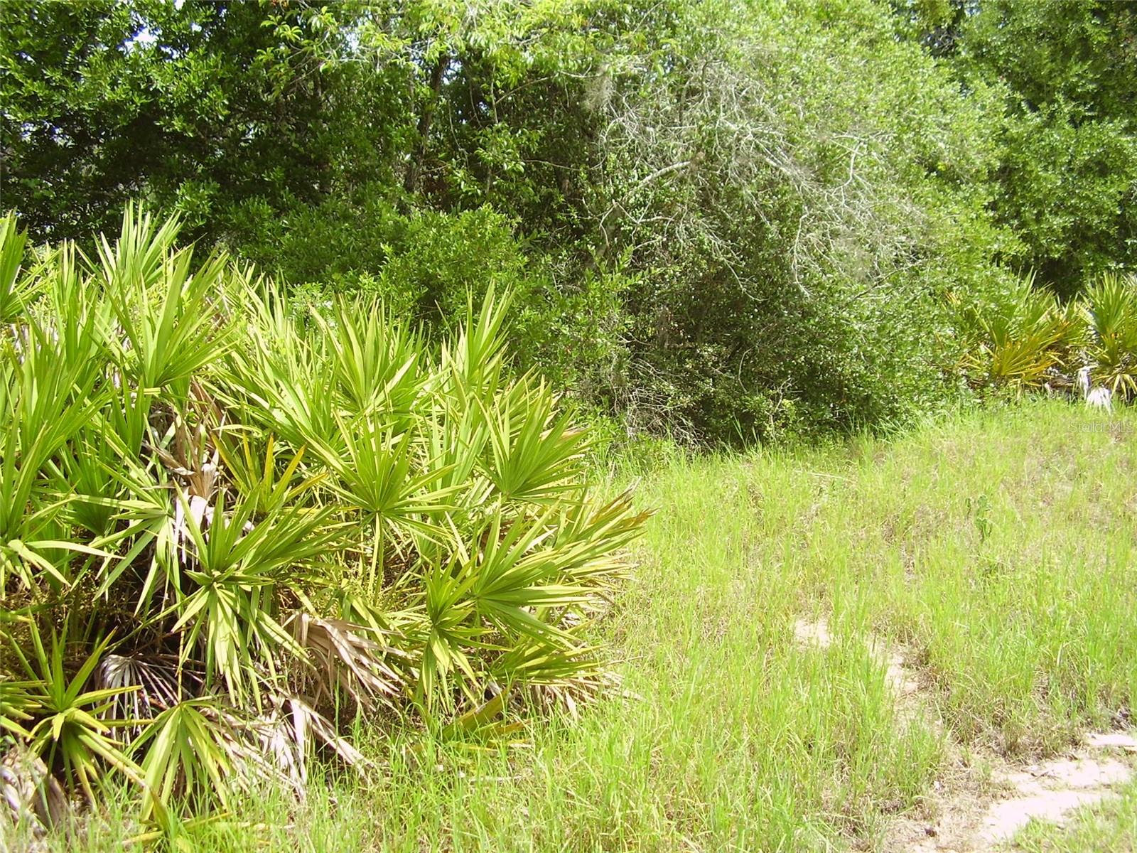1457 KISSIMMEE WAY, KISSIMMEE, FL