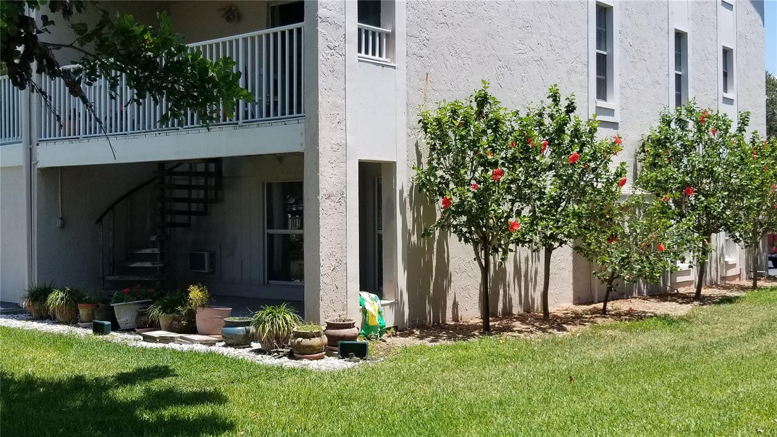 255 CAPRI CIR N #17, TREASURE ISLAND, FL — photo 59