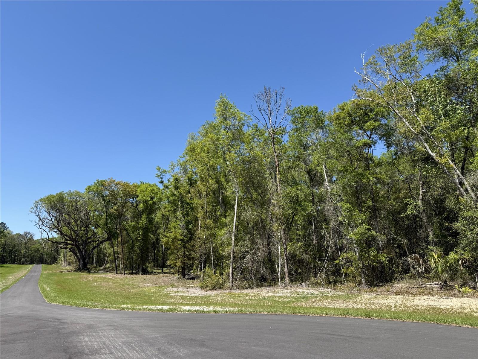Irvine Acres #5 (13ac) W HWY 318, REDDICK, FL — photo 2