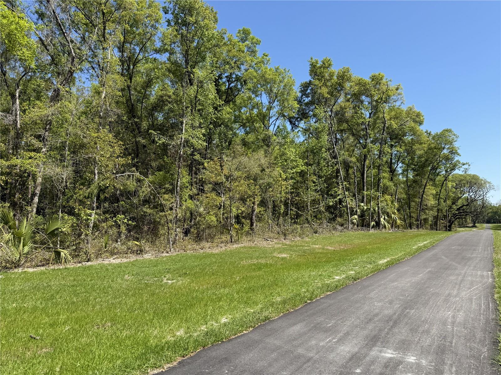 Irvine Acres #5 (13ac) W HWY 318, REDDICK, FL — photo 3