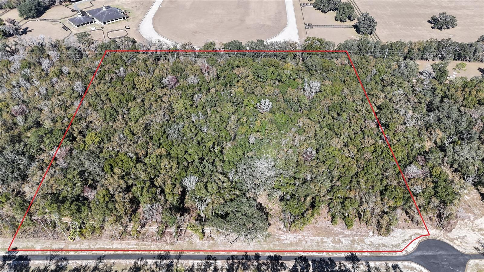 Irvine Acres #5 (13ac) W HWY 318, REDDICK, FL — photo 8