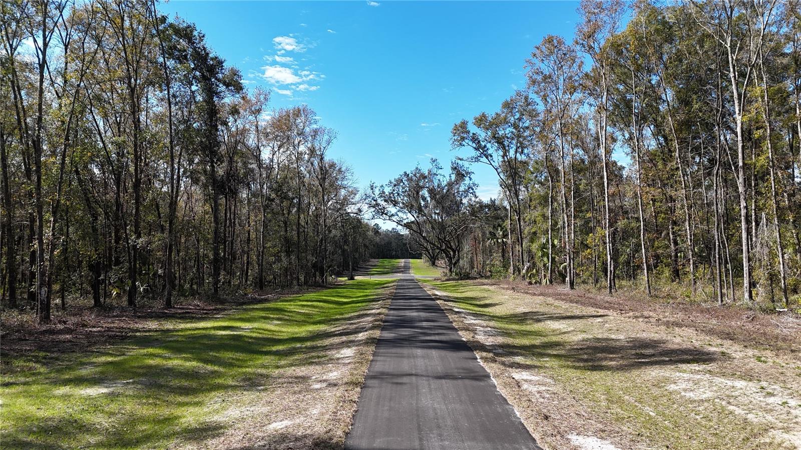 Irvine Acres #5 (13ac) W HWY 318, REDDICK, FL — photo 9