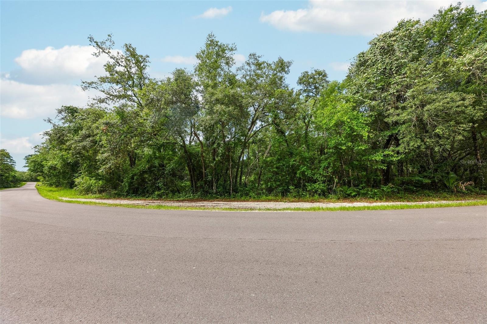 33340 TOMBSTONE ST, WEBSTER, FL