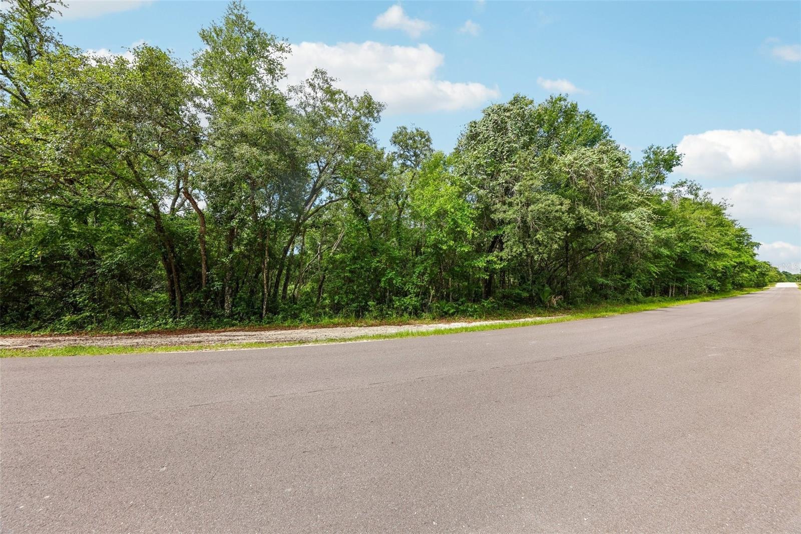 33340 TOMBSTONE ST, WEBSTER, FL — photo 3