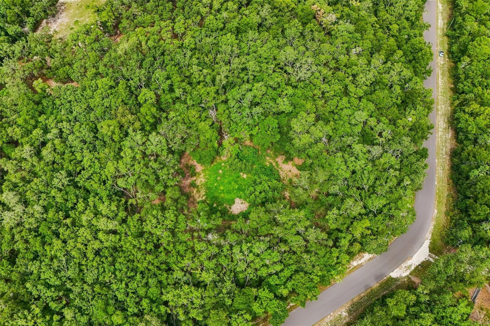33340 TOMBSTONE ST, WEBSTER, FL — photo 4