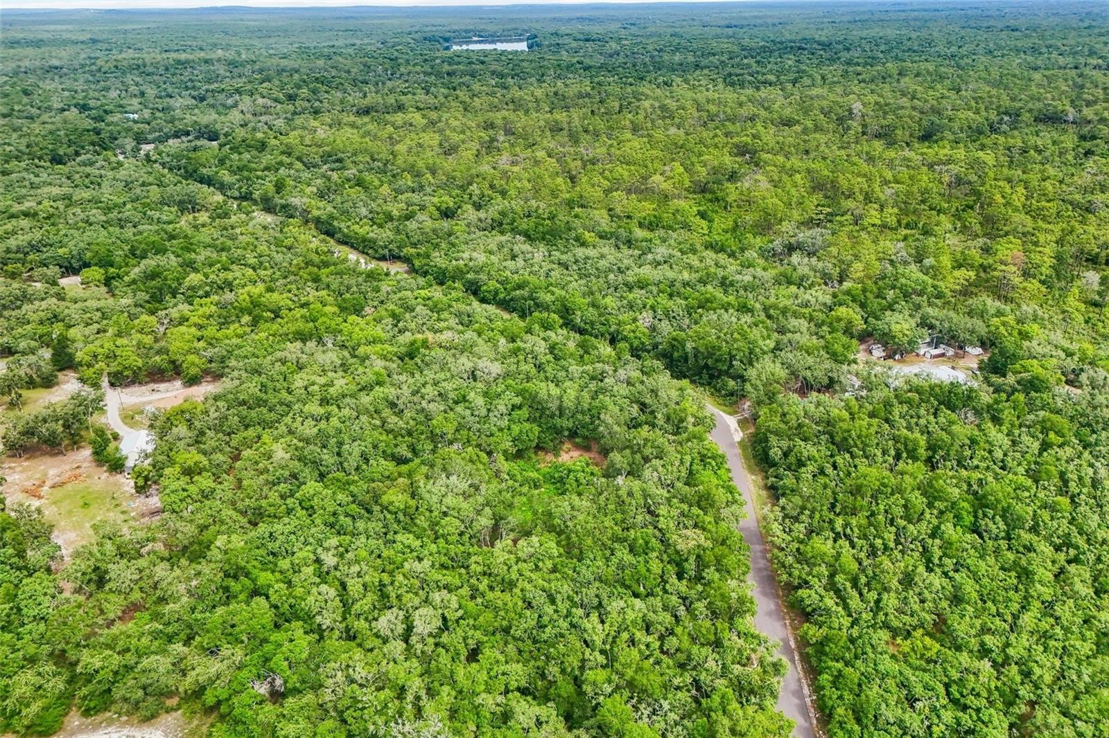33340 TOMBSTONE ST, WEBSTER, FL — photo 14