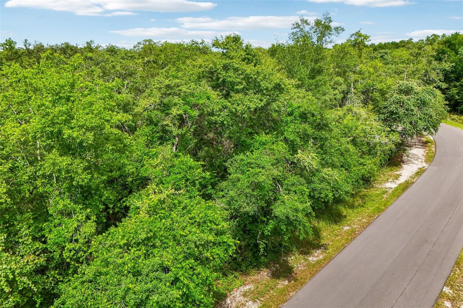 33340 TOMBSTONE ST, WEBSTER, FL — photo 15