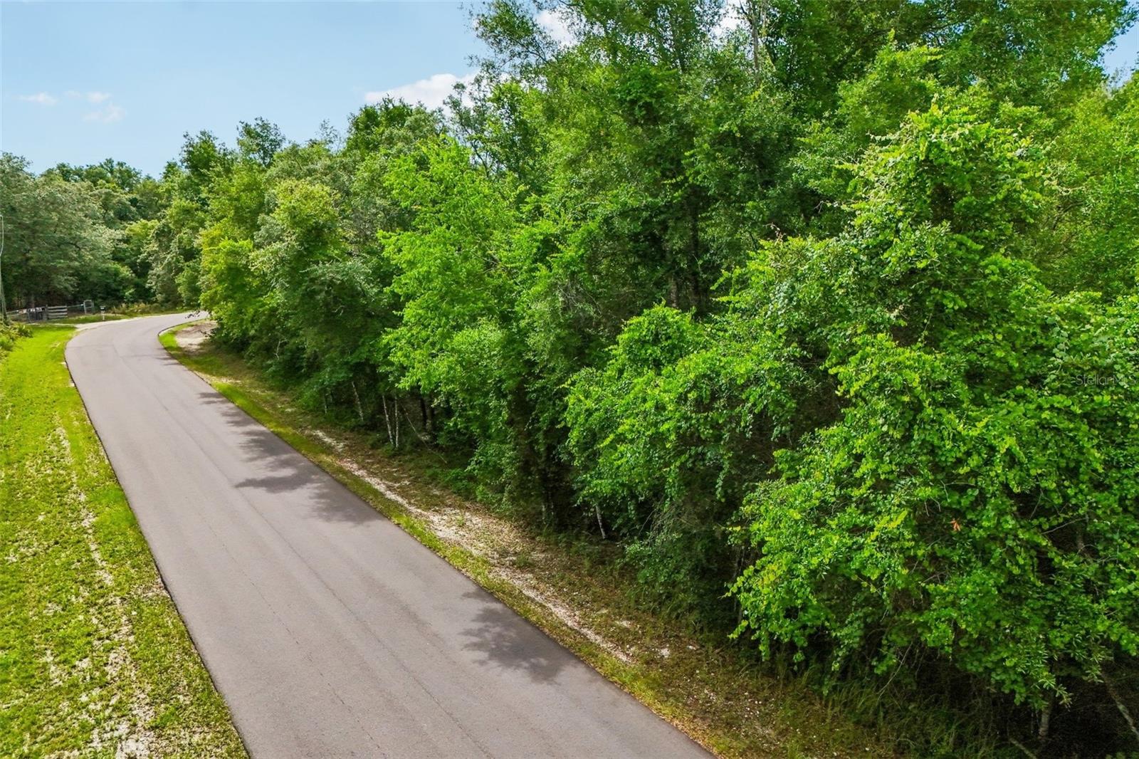 33340 TOMBSTONE ST, WEBSTER, FL — photo 16