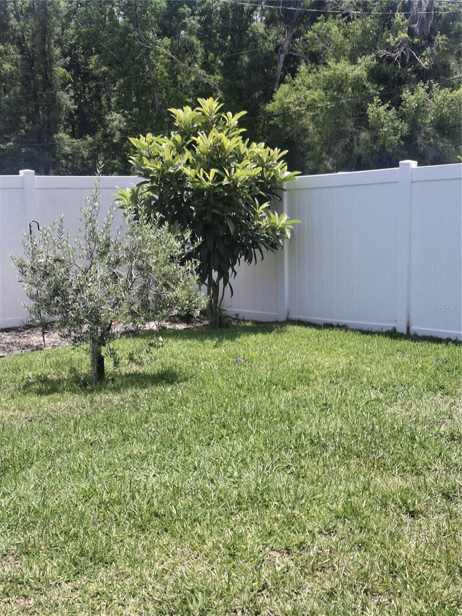 12618 VANDER WAY, NEW PORT RICHEY, FL — photo 20