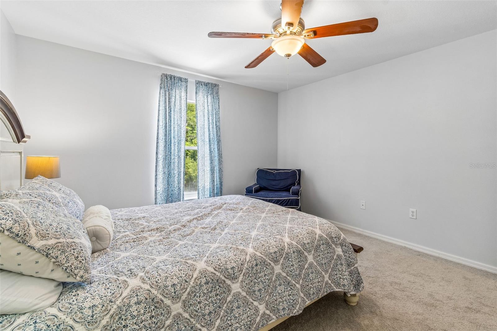 3216 BELLERICAY LN, LAND O LAKES, FL — photo 29