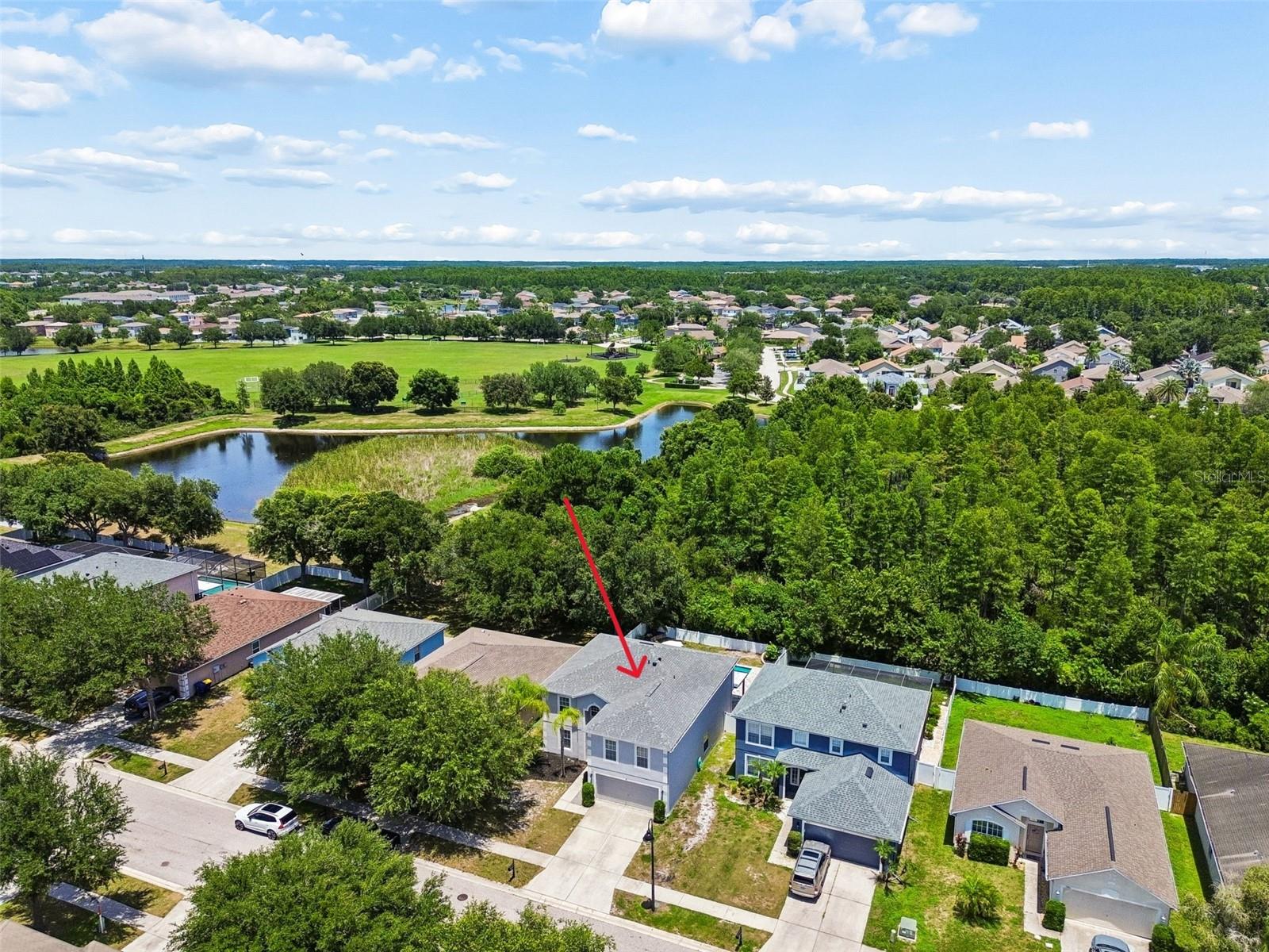 3216 BELLERICAY LN, LAND O LAKES, FL — photo 55