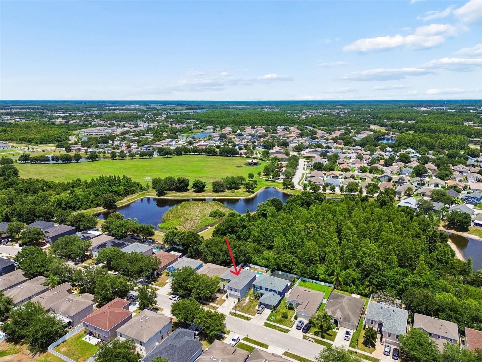 3216 BELLERICAY LN, LAND O LAKES, FL — photo 56