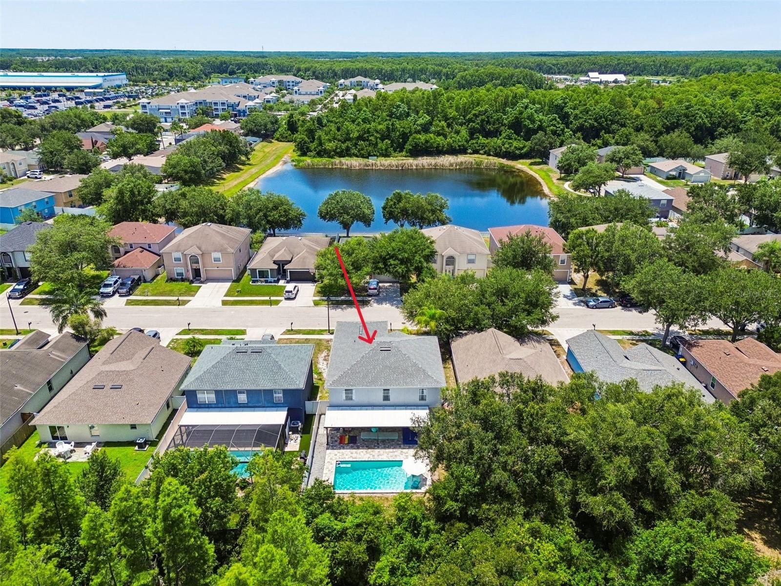3216 BELLERICAY LN, LAND O LAKES, FL — photo 57