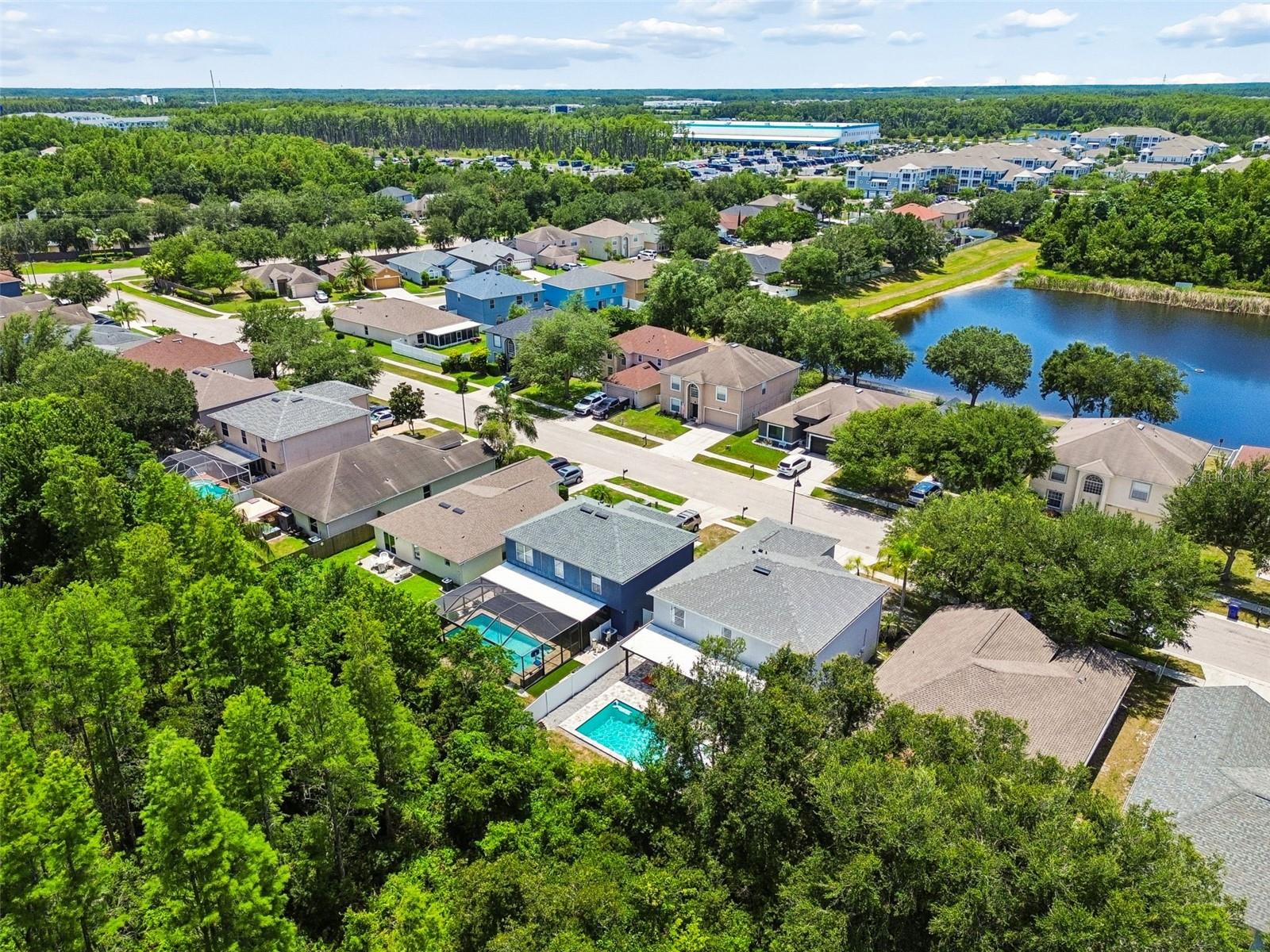 3216 BELLERICAY LN, LAND O LAKES, FL — photo 58