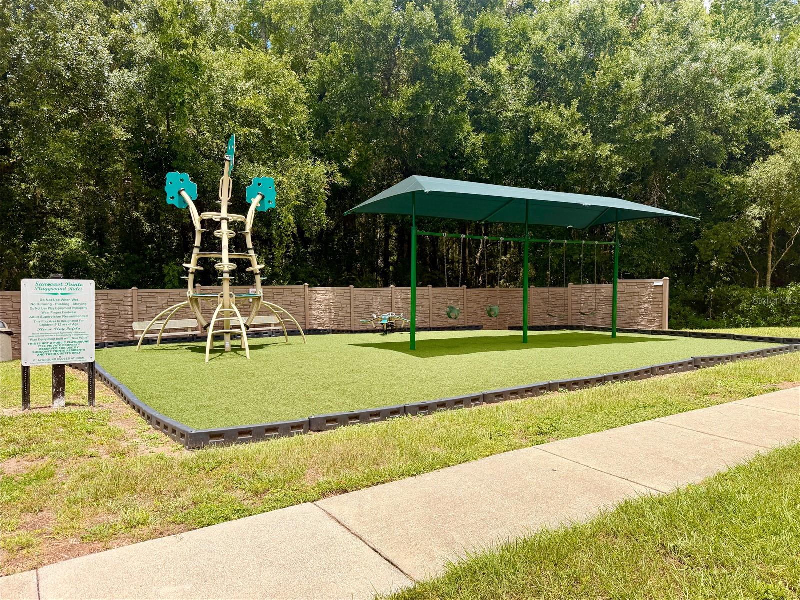3216 BELLERICAY LN, LAND O LAKES, FL — photo 60