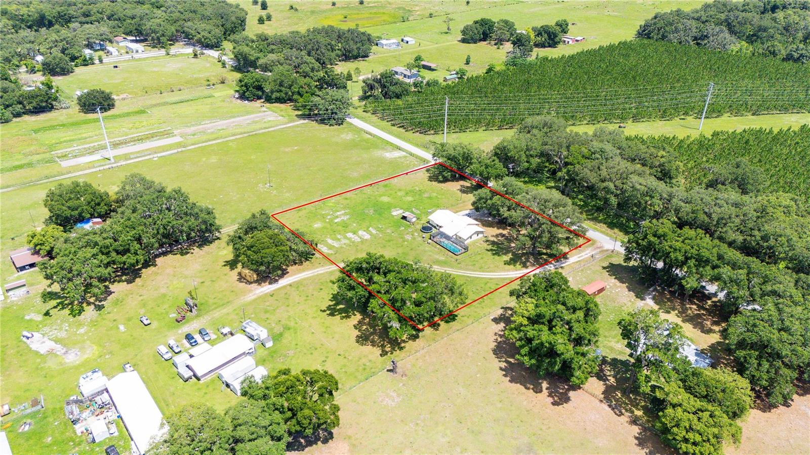 348 CR 542E, BUSHNELL, FL — photo 38