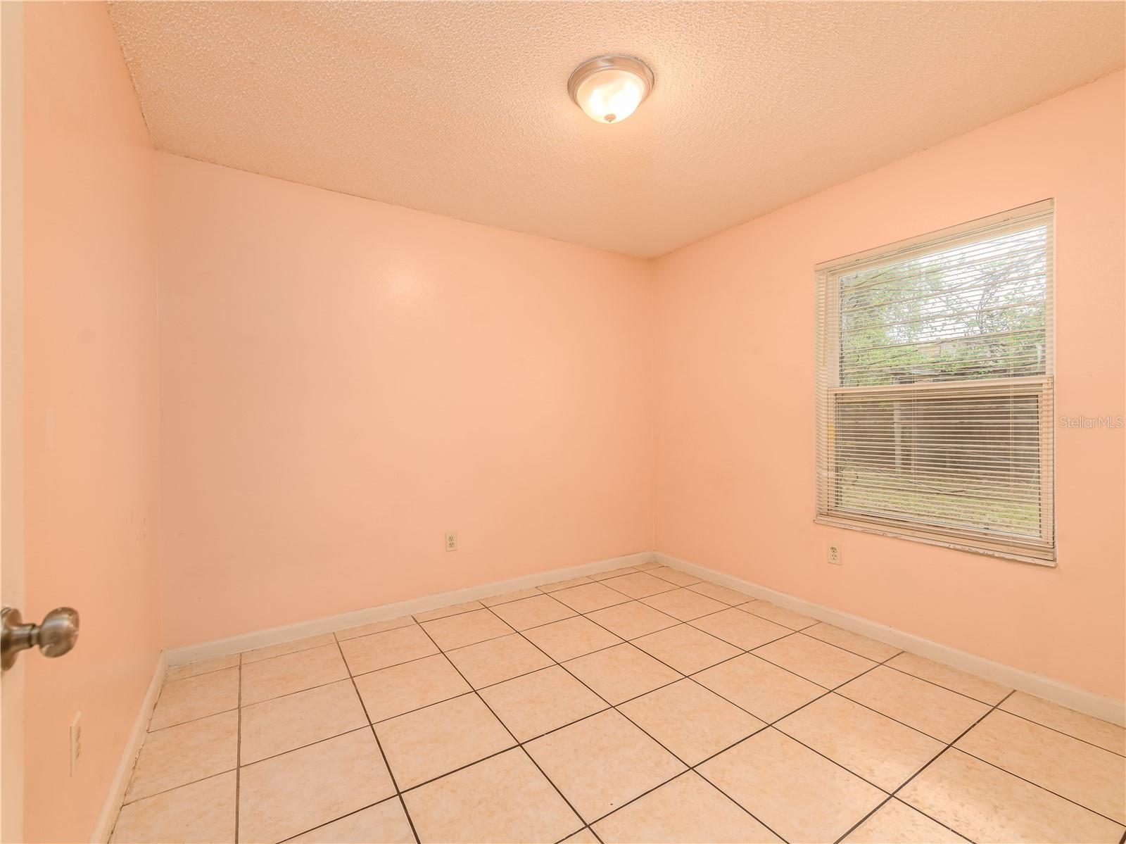 8702 FISH LAKE RD, TAMPA, FL — photo 24