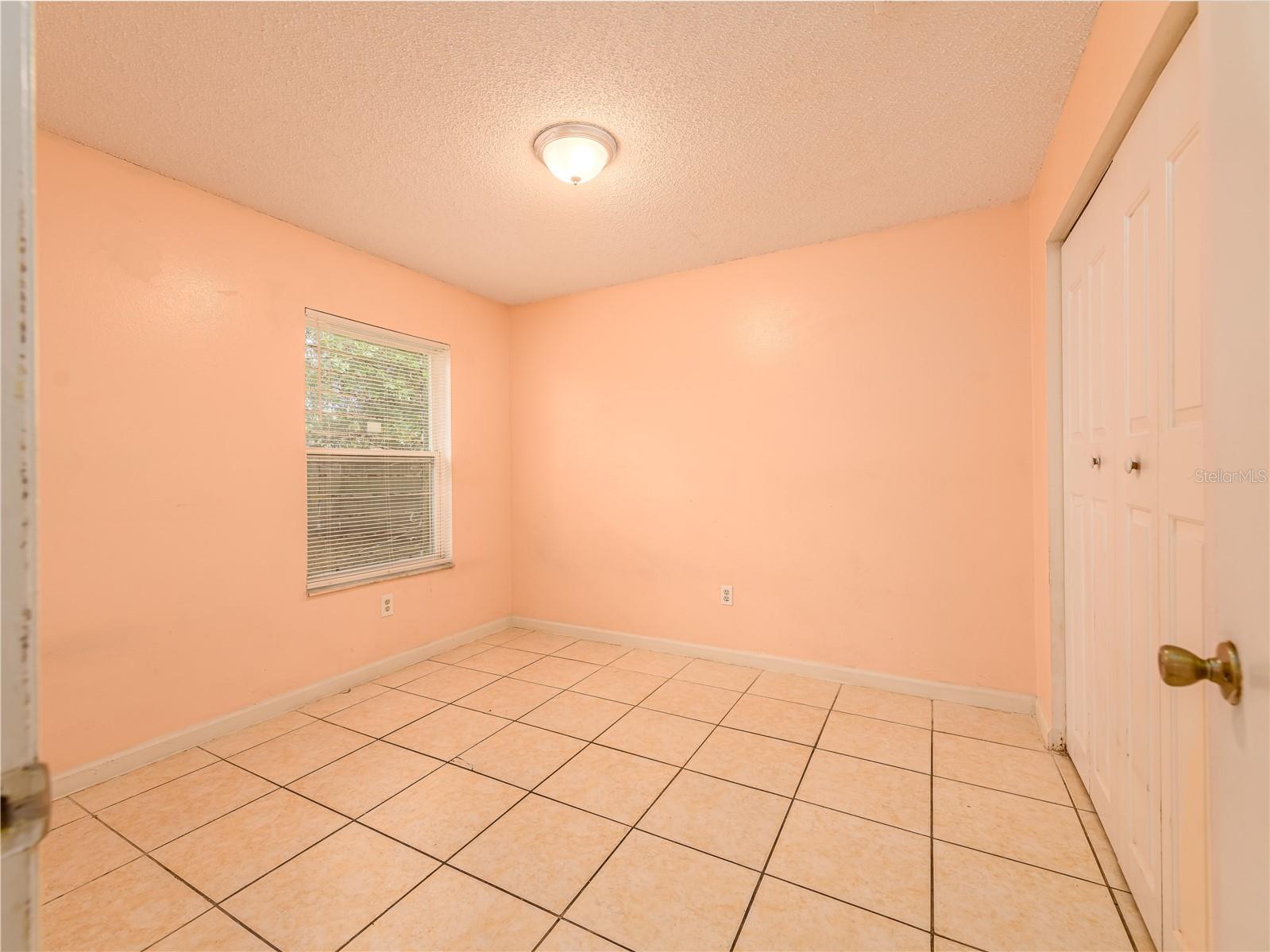 8702 FISH LAKE RD, TAMPA, FL — photo 26
