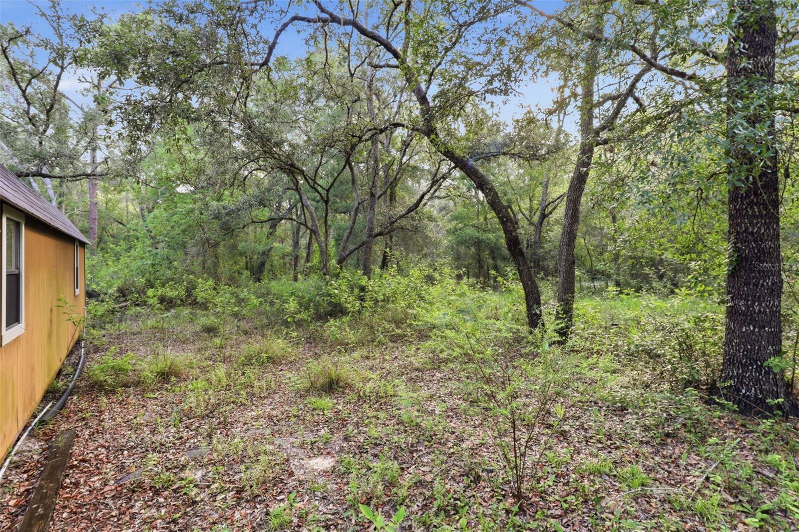 6360 ARIZONA ST, BROOKSVILLE, FL — photo 13