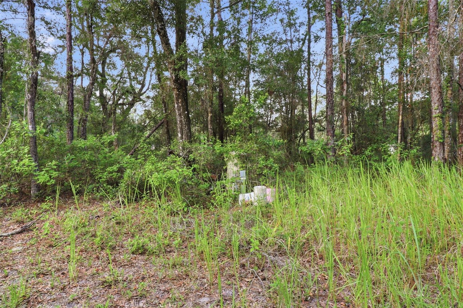 6360 ARIZONA ST, BROOKSVILLE, FL — photo 15