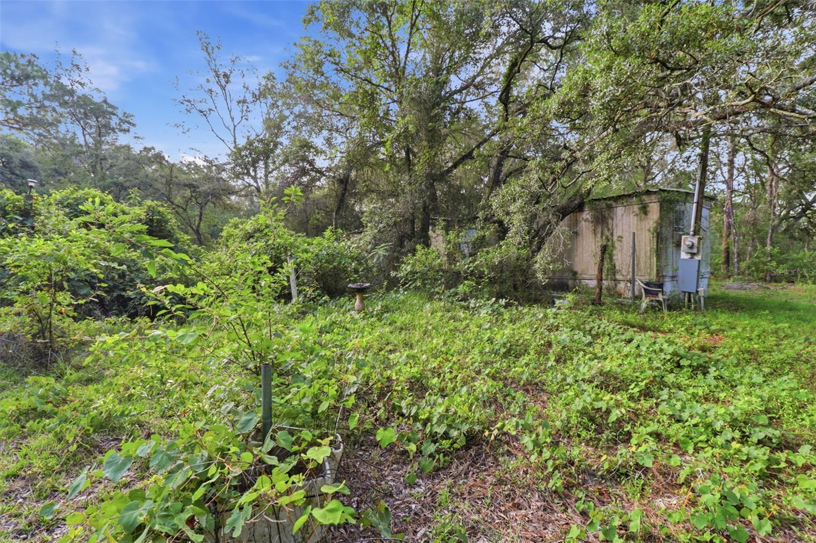 6360 ARIZONA ST, BROOKSVILLE, FL — photo 17